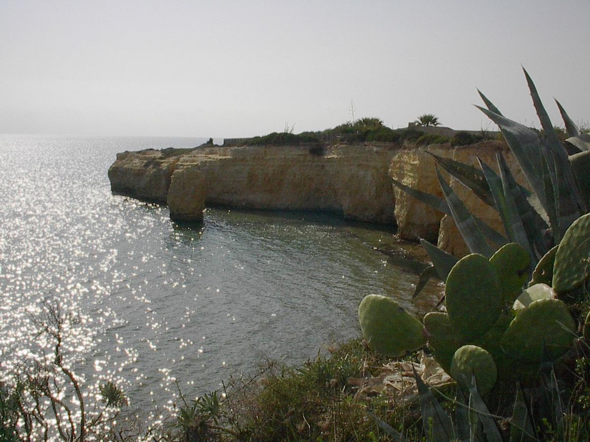 سانتا ماريا ديل فوكالو Borghetto Mediterraneo المظهر الخارجي الصورة